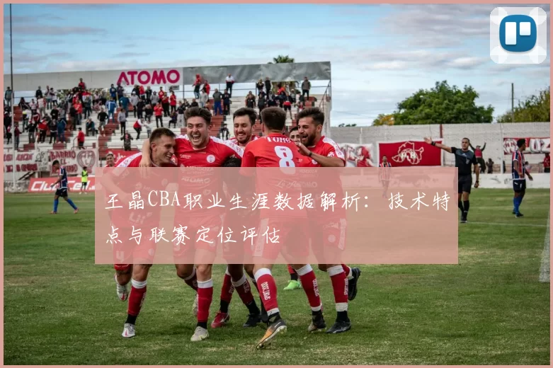 王晶CBA职业生涯数据解析：技术特点与联赛定位评估