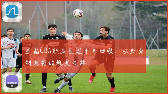 王晶CBA职业生涯十年回顾：从新秀到老将的蜕变之路