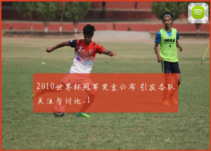 2010世界杯冠军奖金公布 引发各队关注与讨论_1
