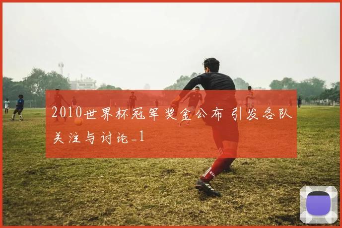 2010世界杯冠军奖金公布 引发各队关注与讨论_1
