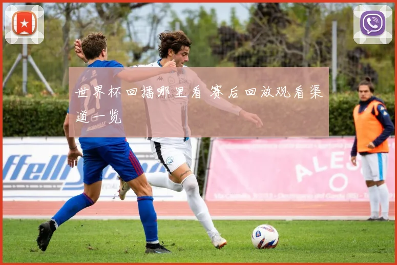 世界杯回播哪里看 赛后回放观看渠道一览
